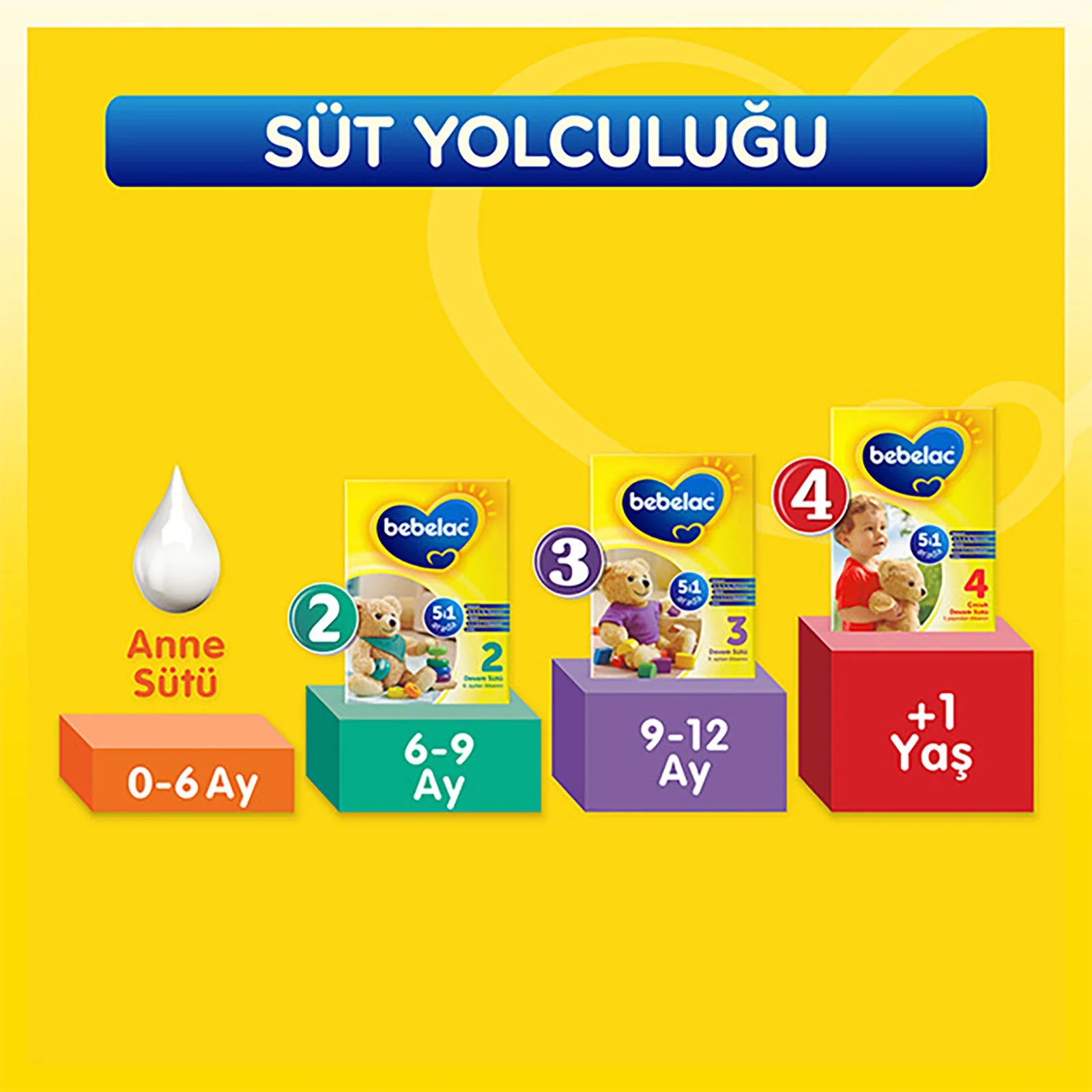 Bebelac 2 800 gr 6. Aydan İtibaren Devam Sütü