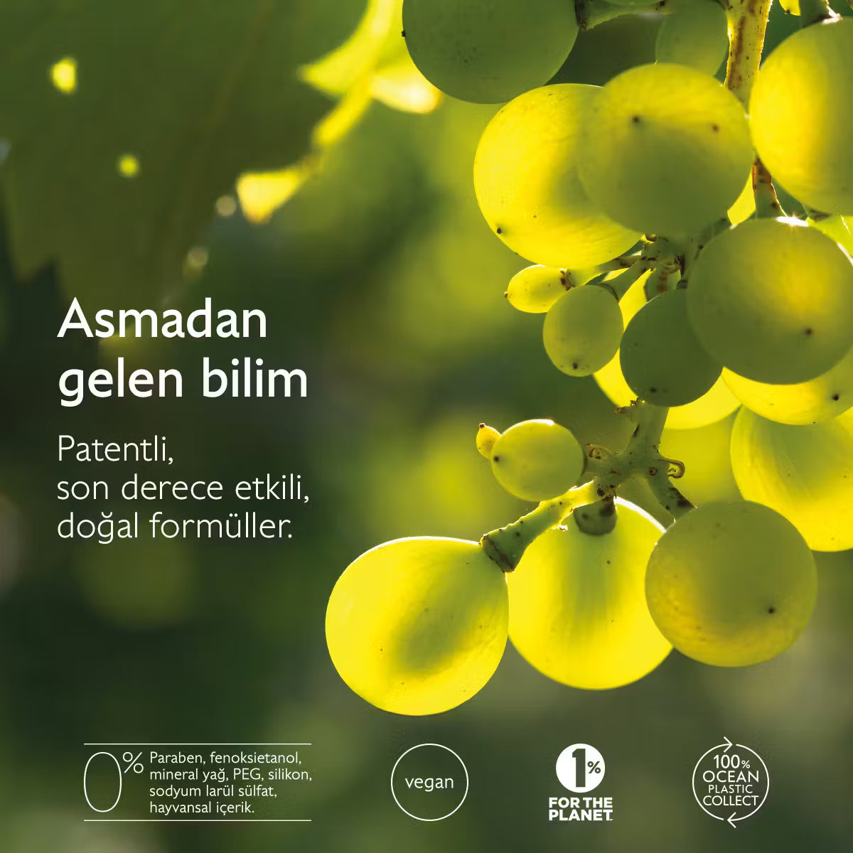 Caudalie Premier Cru The Rich Cream 50ml