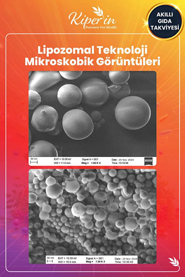 Kiperin Liposomal Multivitamin 30 Kapsül
