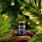 Nutraxin Immun-S 60 Tablet BETA Glukan Afrika Sardunyasi Çörek OTU Zencefil Vitamin C