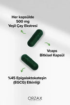 Ocean Yeşil ÇAY 500MG 60 Kapsül Green TEA