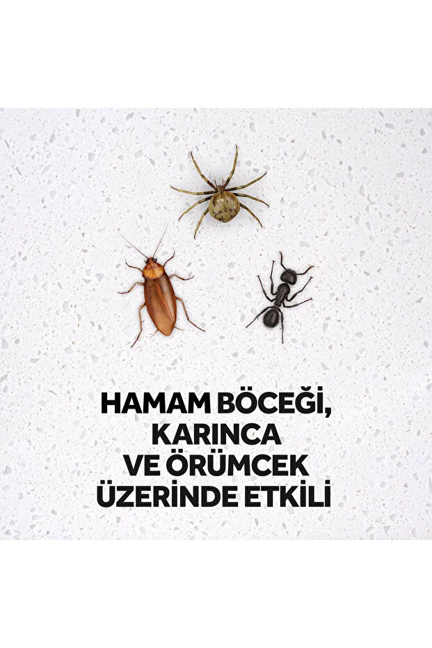 Raid Böcek Savar Max 300ml