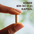 Solgar Ginkgo Biloba LEAF Extract 60 Kapsül