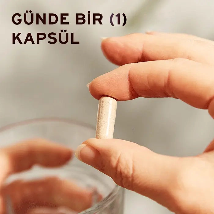 SOLGAR RHODIOLA ROOT EXTRACT 60 KAPSÜL 234