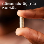 SOLGAR SAW PALMETTO 520MG 100 KAPSÜL 