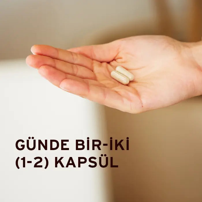 Solgar Ester-C Plus 500Mg 50 Kapsül