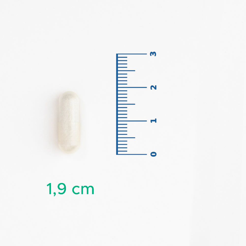 Velavit V-Nattokinase 30 Kapsül