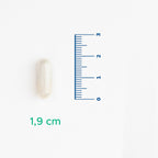 Velavit V-Nattokinase 30 Kapsül