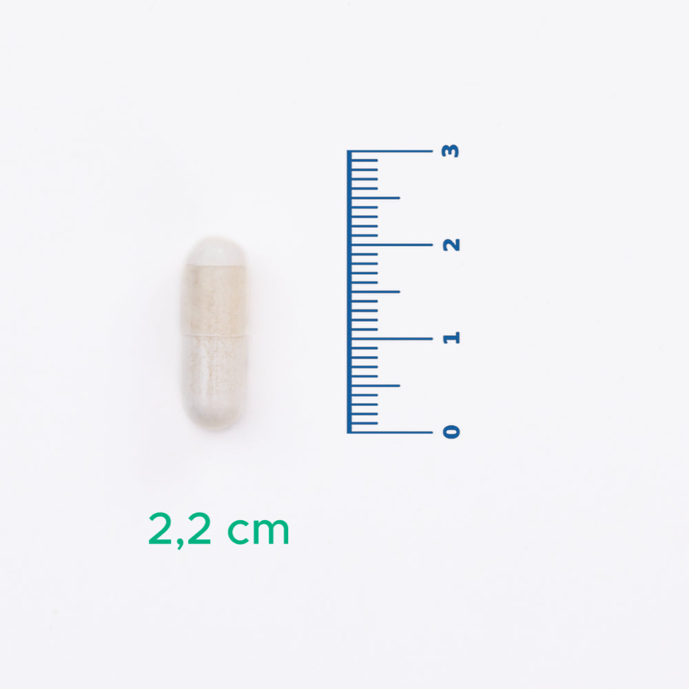 Velavit V-NR Nicotinamide Riboside 30 Kapsül